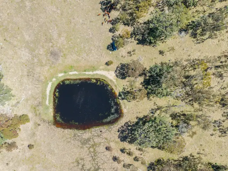 Fourth view of Homely rural property listing, Lots 2, 136 & 183 New England Highway, Tenterfield NSW 2372