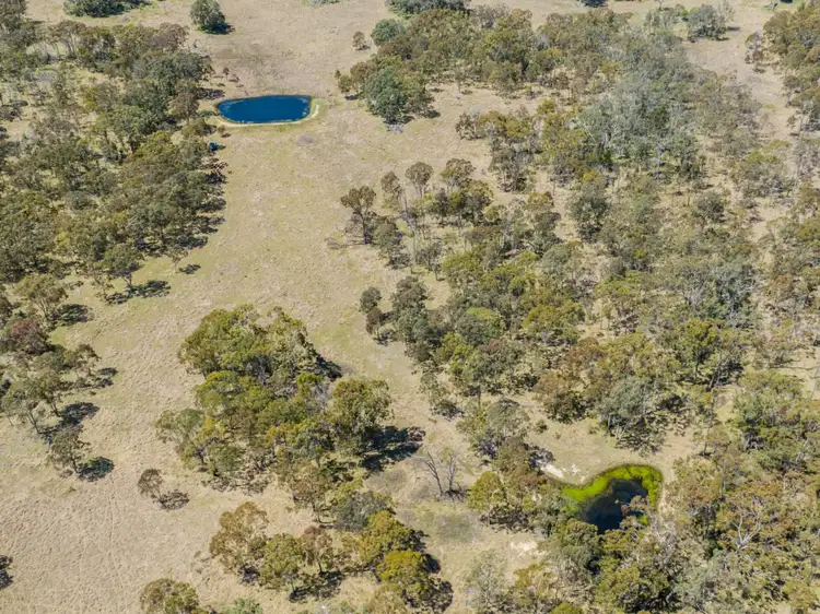 Sixth view of Homely rural property listing, Lots 2, 136 & 183 New England Highway, Tenterfield NSW 2372