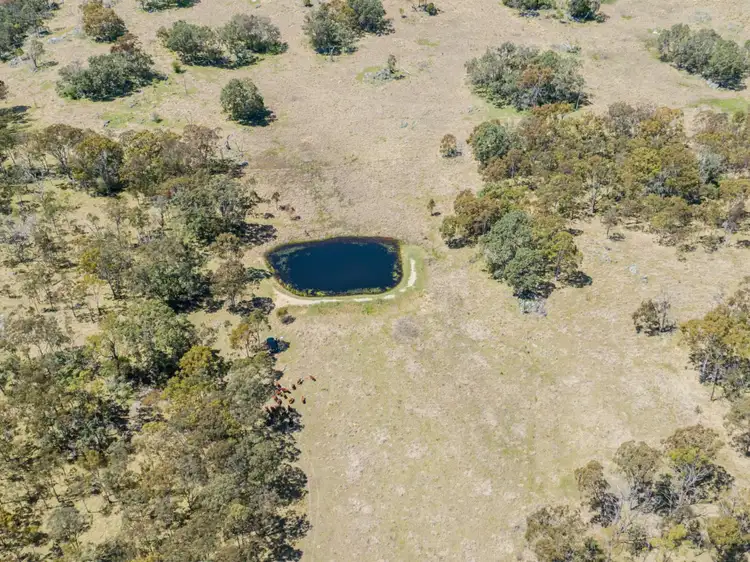 Seventh view of Homely rural property listing, Lots 2, 136 & 183 New England Highway, Tenterfield NSW 2372