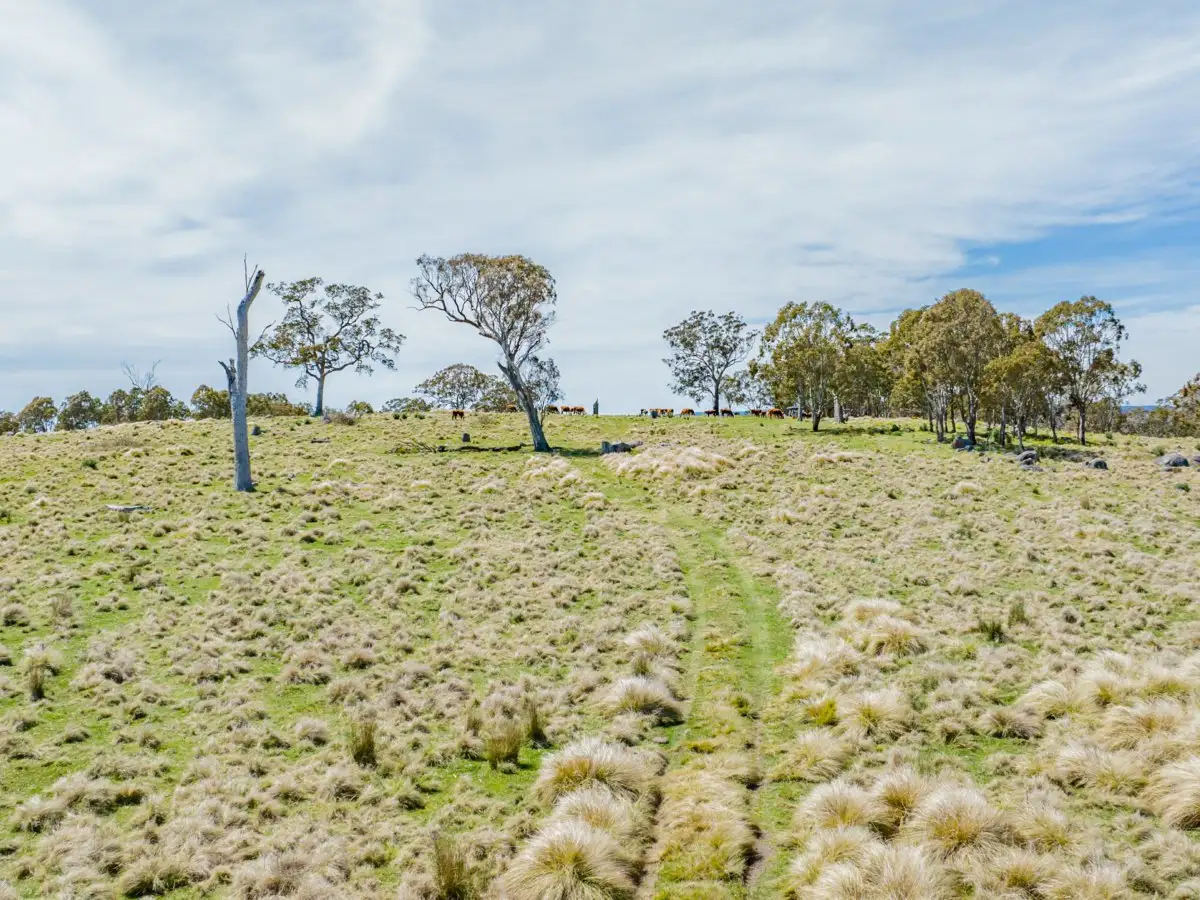 Main view of Homely rural property listing, 'Glendon' Bryans Gap Road, Tenterfield NSW 2372
