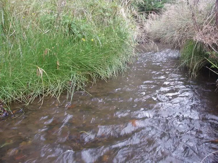 Third view of Homely land listing, Lot 5 Hilders Road, Irishtown TAS 7330