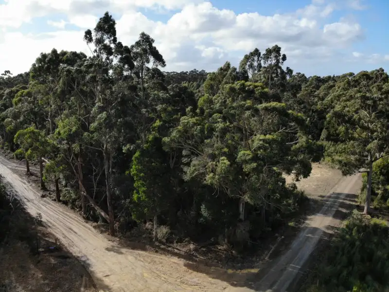 Main view of Homely land listing, Lot 4 Hilders Road, Irishtown TAS 7330