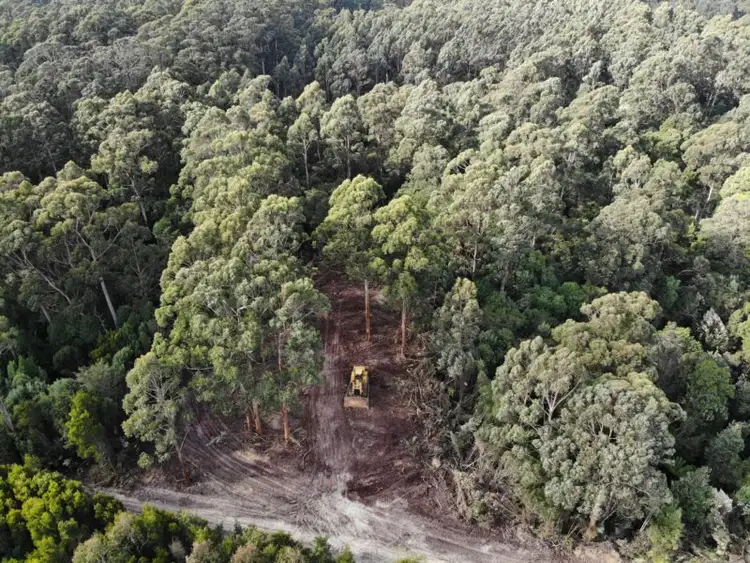 Fourth view of Homely land listing, Lot 4 Hilders Road, Irishtown TAS 7330