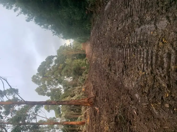 Fifth view of Homely land listing, Lot 4 Hilders Road, Irishtown TAS 7330