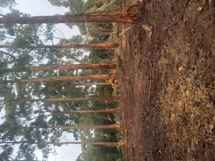 Sixth view of Homely land listing, Lot 4 Hilders Road, Irishtown TAS 7330