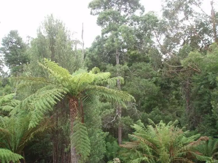 Seventh view of Homely land listing, Lot 4 Hilders Road, Irishtown TAS 7330