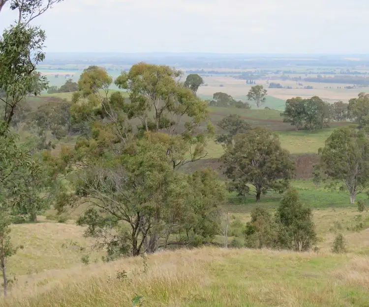 Sixth view of Homely rural property listing, 41 Battistuzzi Road, Spring Grove NSW 2470
