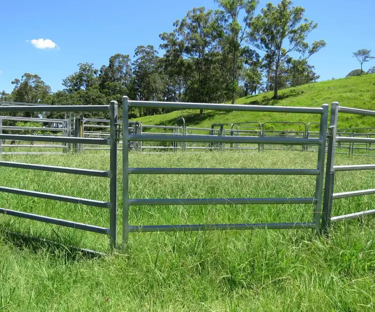 Fifth view of Homely rural property listing, 1 Razorback Road, Theresa Creek NSW 2469