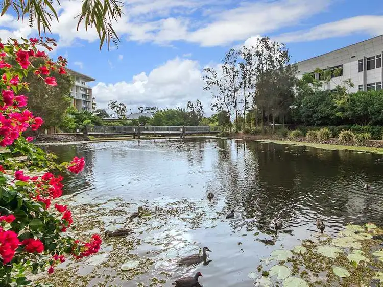 Sixth view of Homely house listing, 12 Riverwalk Avenue, Robina QLD 4226