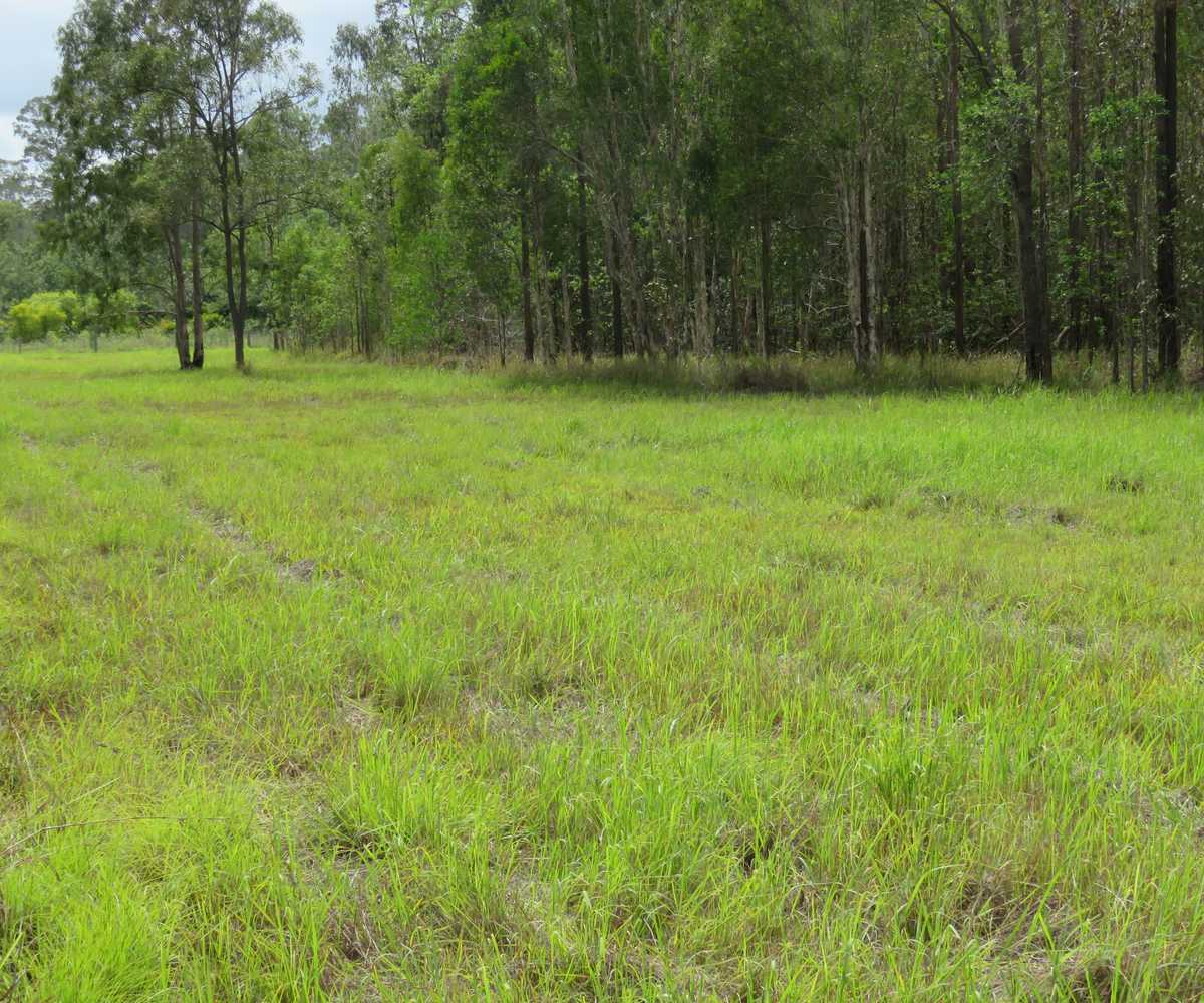 Main view of Homely land listing, 330 Ryans Road, Leeville NSW 2470