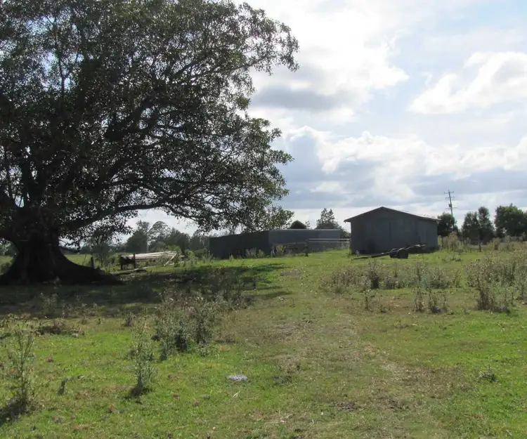 Seventh view of Homely rural property listing, 870 Tomki-Tatham Rd, Tatham NSW 2471