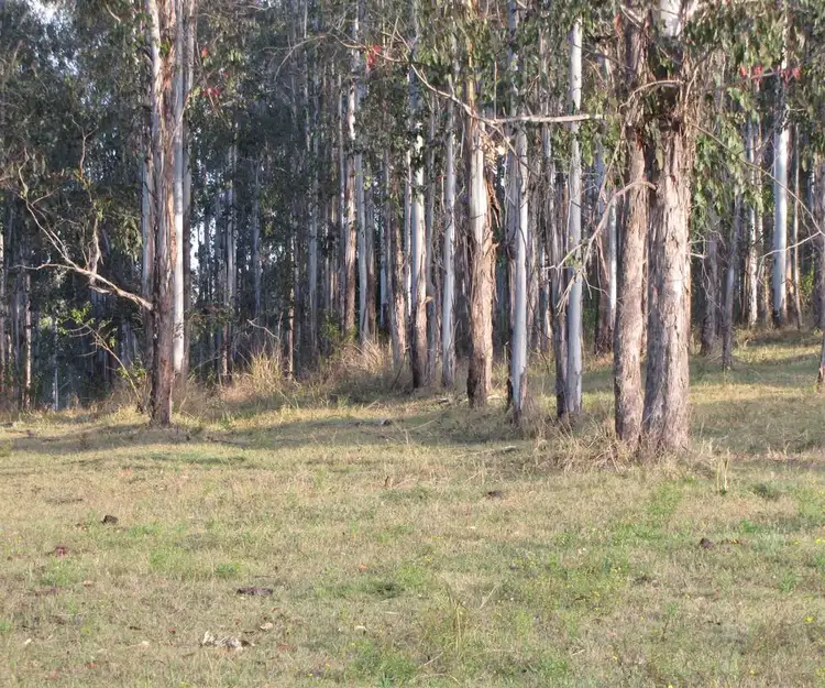 Main view of Homely rural property listing, - Saye Dunns Road, Doubtful Creek NSW 2470