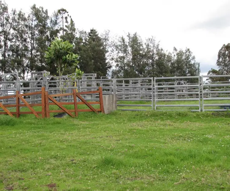 Fourth view of Homely rural property listing, 1275 Bulmers Road, Hogarth Range NSW 2469