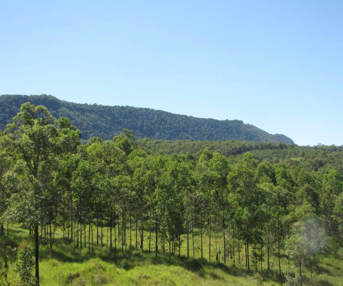 Main view of Homely rural property listing, - Amos 256 Haystack Road, Haystack NSW 2469