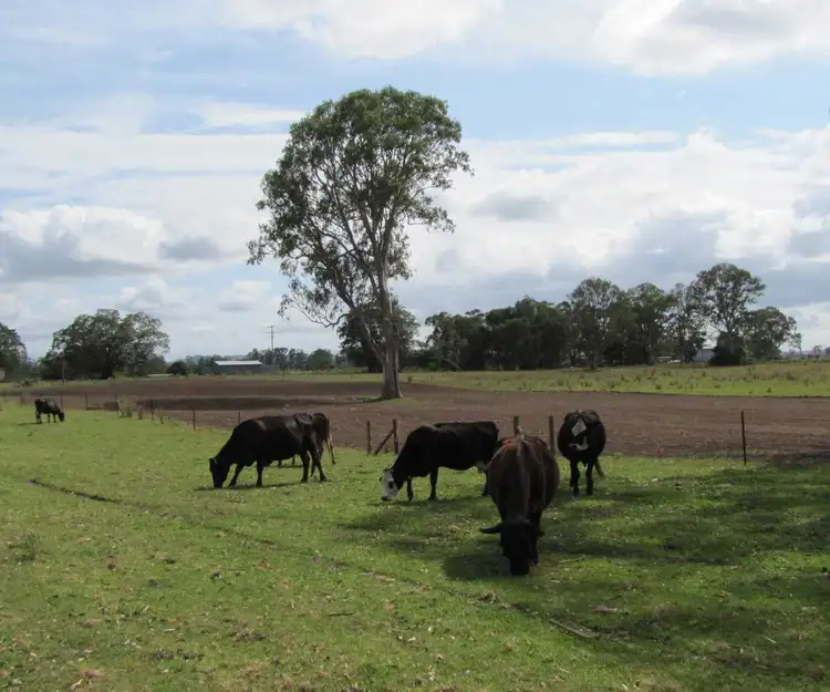 Main view of Homely rural property listing, 870 Tomki-Tatham Rd, Tatham NSW 2471