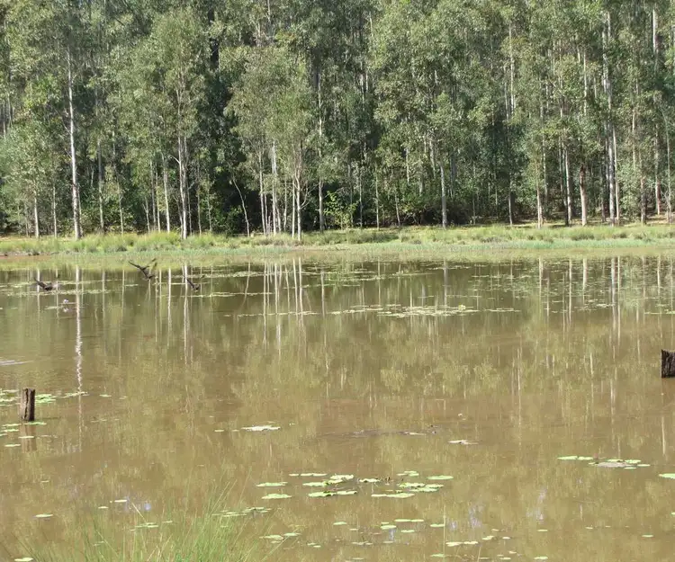 Second view of Homely rural property listing, - Ricdon, Ellangowan NSW 2470