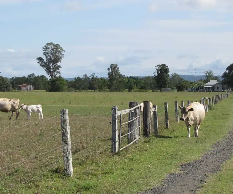 Fifth view of Homely rural property listing, 870 Tomki-Tatham Rd, Tatham NSW 2471