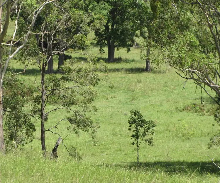 Fourth view of Homely rural property listing, 975 Dyraaba Rd, Dyraaba NSW 2470
