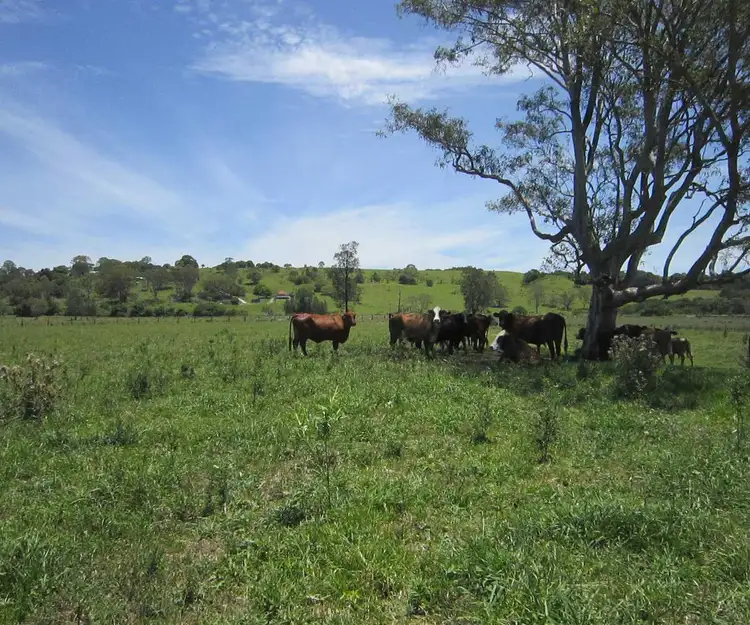 Main view of Homely rural property listing, 2 Coraki Rd, South Gundurimba NSW 2480