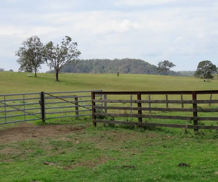 Fourth view of Homely rural property listing, 41 Battistuzzi Road, Spring Grove NSW 2470