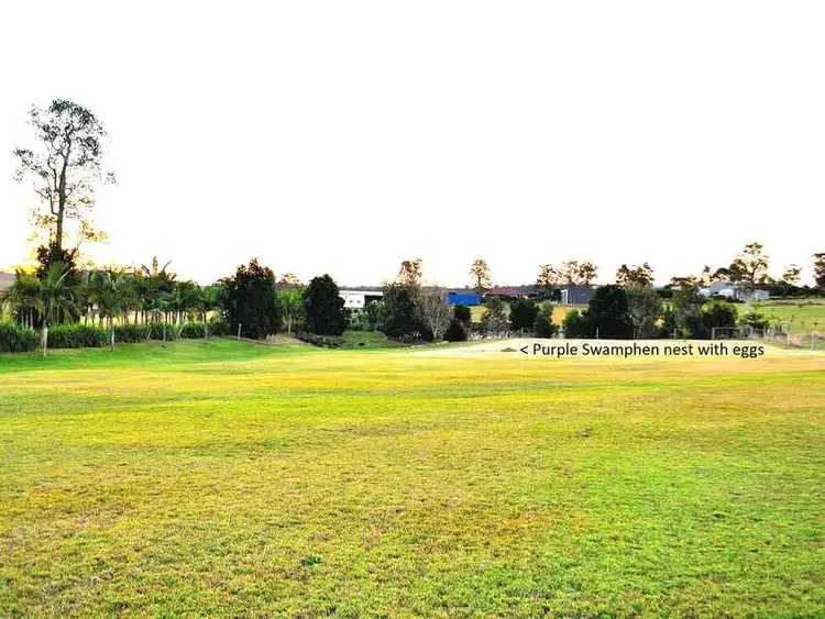 Fifth view of Homely land listing, Lot 16 Flatley Place - North, Casino NSW 2470
