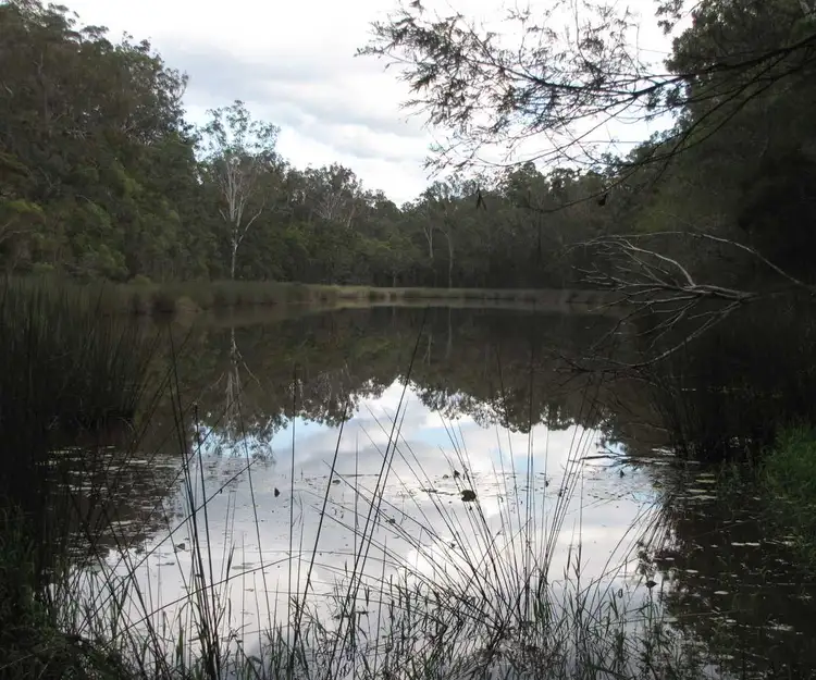 Sixth view of Homely rural property listing, Whiporie Road, Whiporie NSW 2469