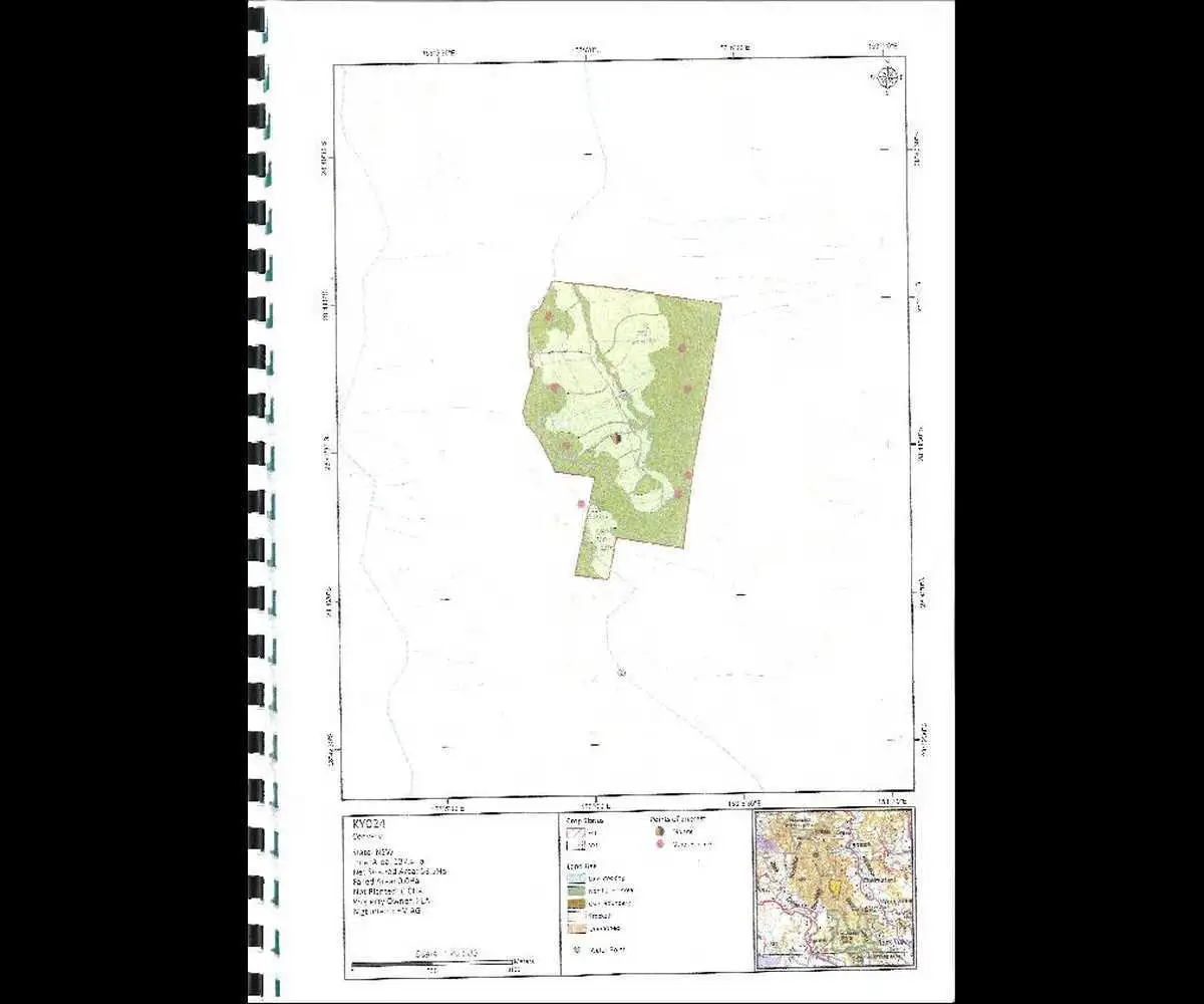 Main view of Homely rural property listing, - Convery, Cawongla NSW 2474