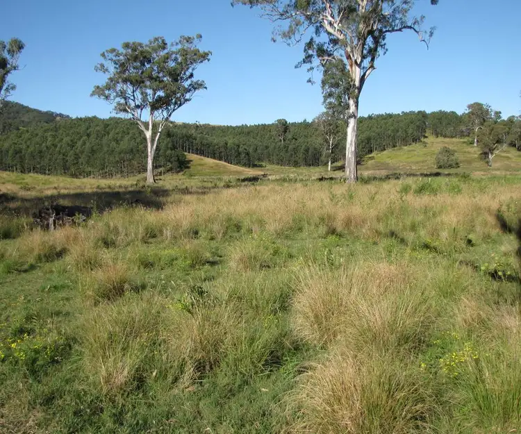 Main view of Homely rural property listing, - Summerland Way, Wiangaree NSW 2474