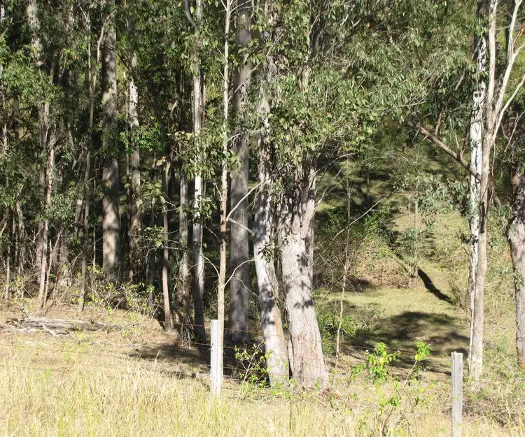 Main view of Homely rural property listing, - Iles, Dyraaba NSW 2470