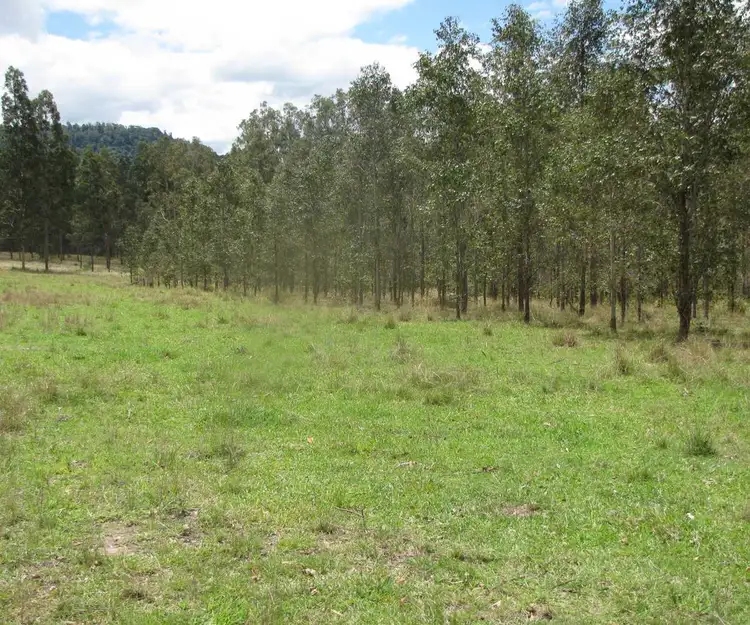 Second view of Homely rural property listing, - Rogarra 13020 Clarence Way, Bottle Creek NSW 2469