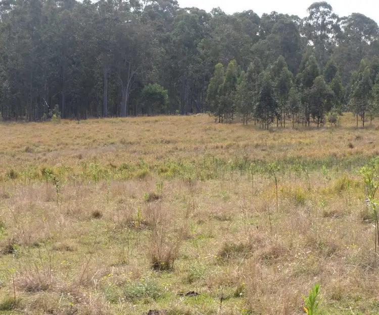 Second view of Homely rural property listing, - Gollan, Ellangowan NSW 2470