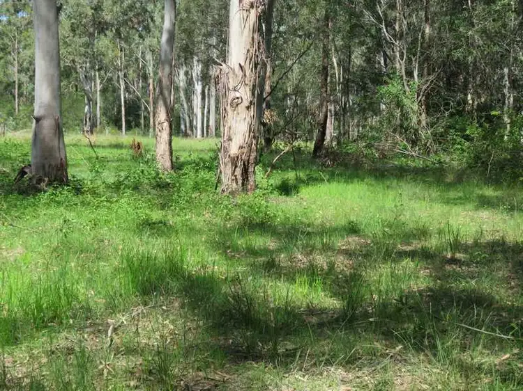 Third view of Homely rural property listing, 10 Elliots Road, Myrtle Creek NSW 2469
