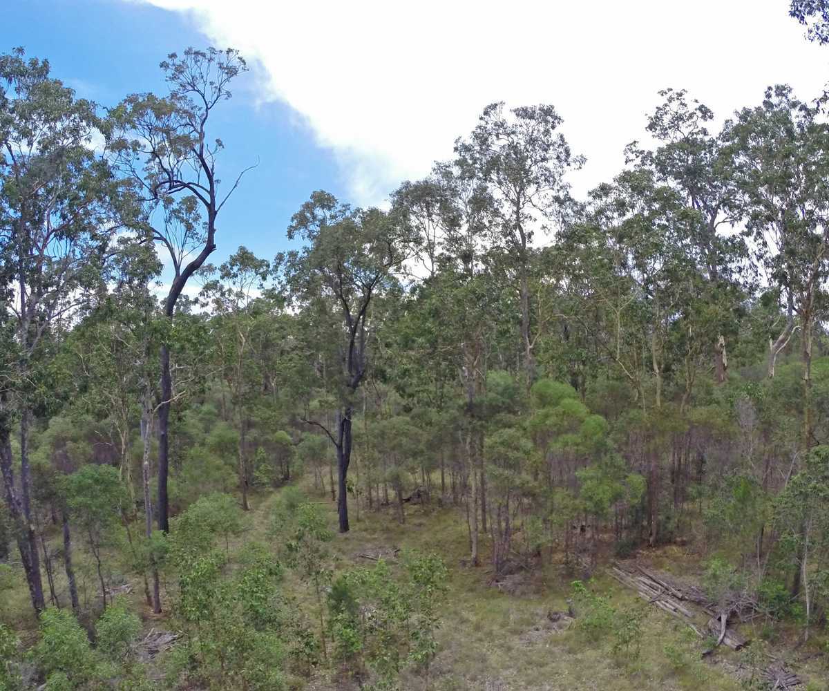 Main view of Homely land listing, 1729 Old Tenterfield Rd, Kippenduff NSW 2469