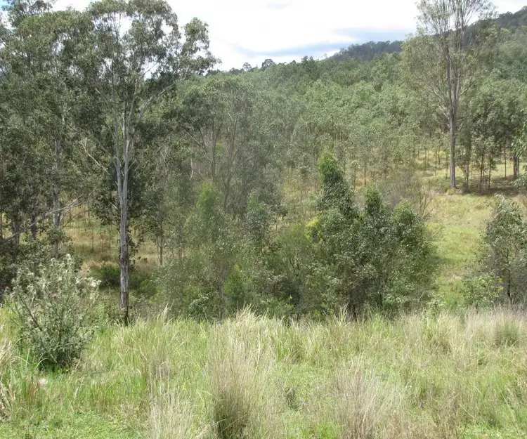 - Hooten Via Paddys Flat Road, Tabulam NSW 2469