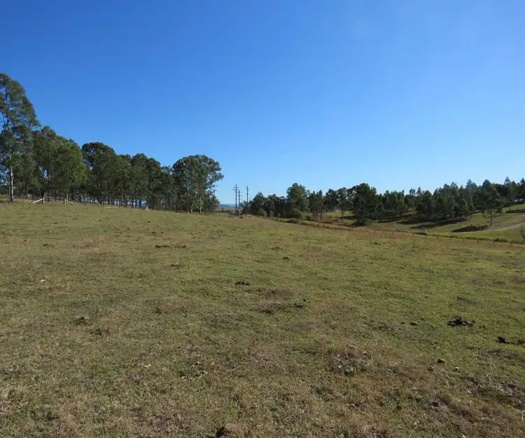 Fourth view of Homely rural property listing, Lot 213 Bruxner Highway, Tabulam NSW 2469