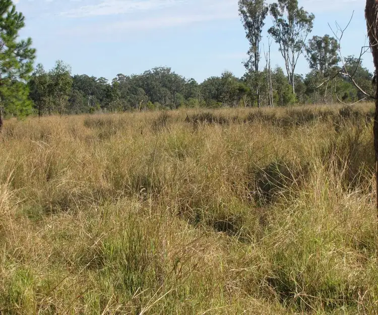Fifth view of Homely rural property listing, Whiporie Road, Whiporie NSW 2469