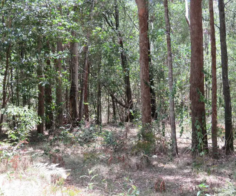 Seventh view of Homely land listing, 330 Ryans Road, Leeville NSW 2470