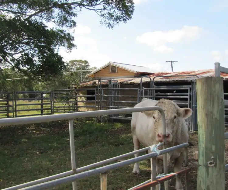 Sixth view of Homely rural property listing, 870 Tomki-Tatham Rd, Tatham NSW 2471