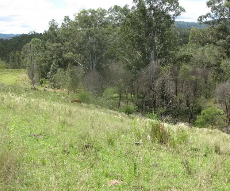 Third view of Homely rural property listing, - Rogarra 13020 Clarence Way, Bottle Creek NSW 2469