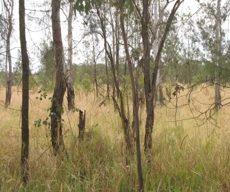 Fourth view of Homely rural property listing, 1110 Bungawalbin - Whiporie Road, Bungawalbin NSW 2469