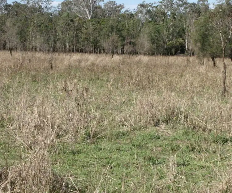 Fifth view of Homely rural property listing, 1110 Bungawalbin - Whiporie Road, Bungawalbin NSW 2469
