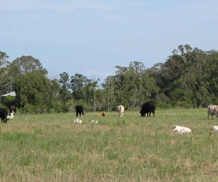 Fourth view of Homely rural property listing, 870 Tomki-Tatham Rd, Tatham NSW 2471