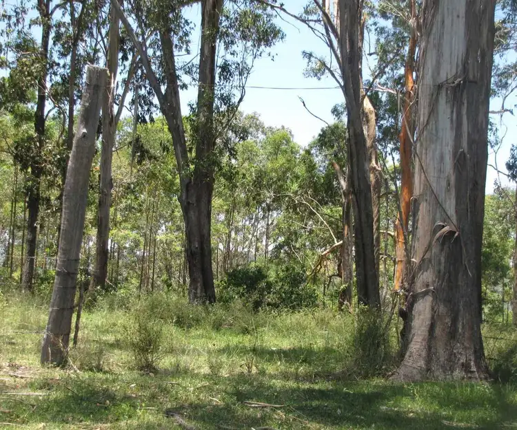 Third view of Homely rural property listing, - Ralston Clarence Way, Old Bonalbo NSW 2469