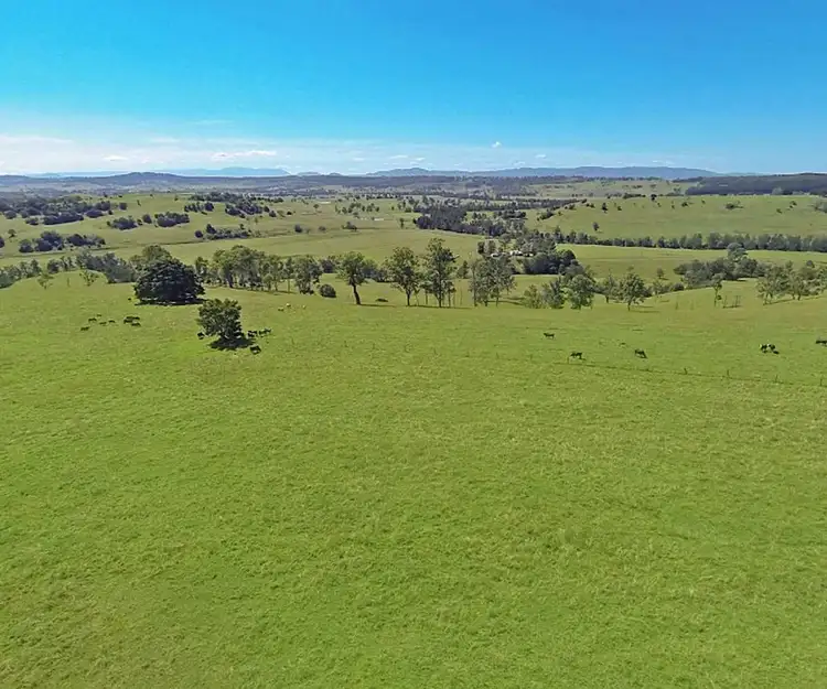 Seventh view of Homely rural property listing, 135 Bolan Road, Doubtful Creek NSW 2470