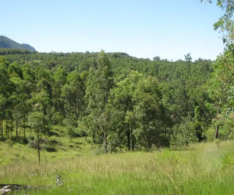 Third view of Homely rural property listing, - Amos 256 Haystack Road, Haystack NSW 2469