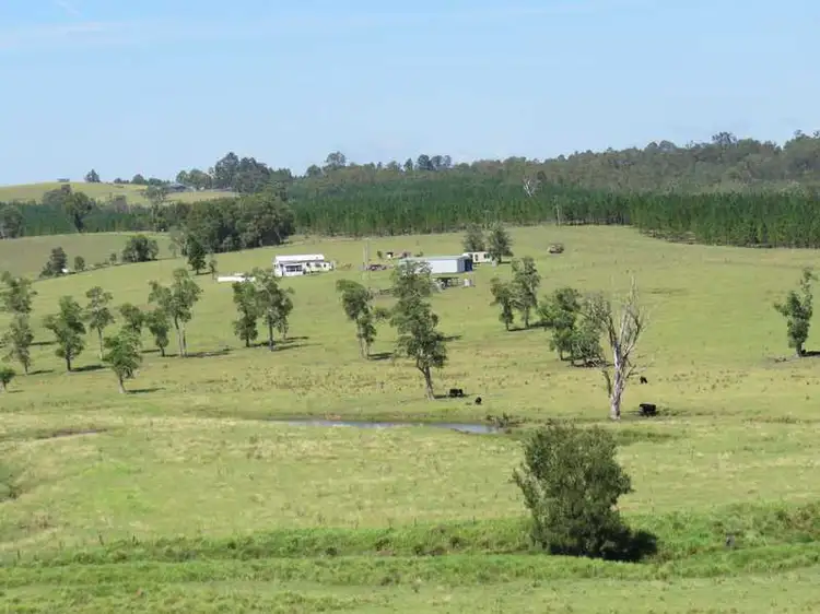 Second view of Homely rural property listing, 12395 Clarence Way, Mallanganee NSW 2469