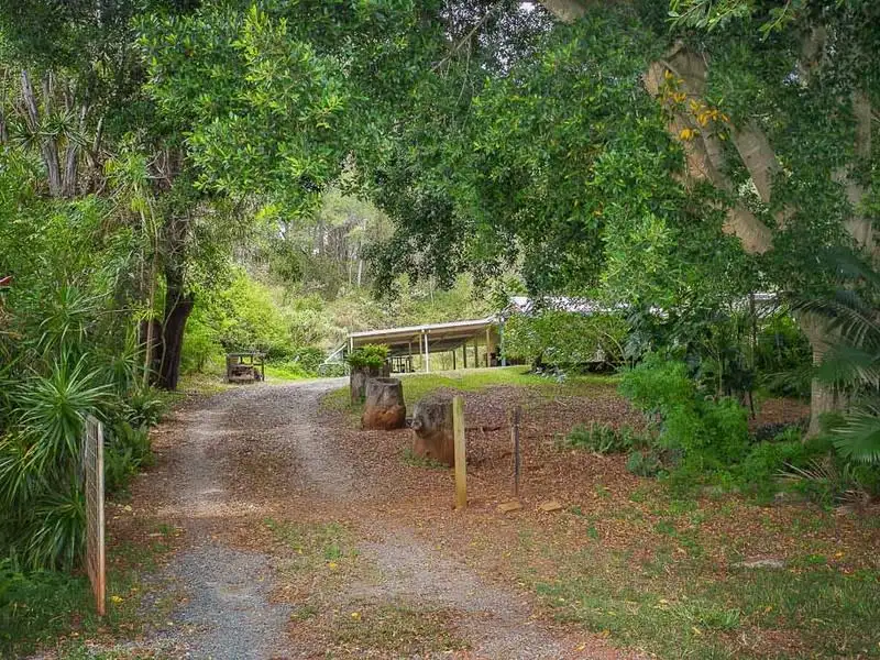 Main view of Homely house listing, 317 Worongary Road, Tallai QLD 4213