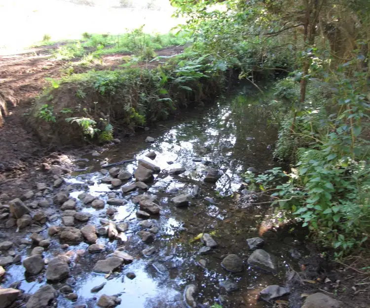 Second view of Homely rural property listing, - Muller Roseberry Creek Road, Roseberry Creek NSW 2474