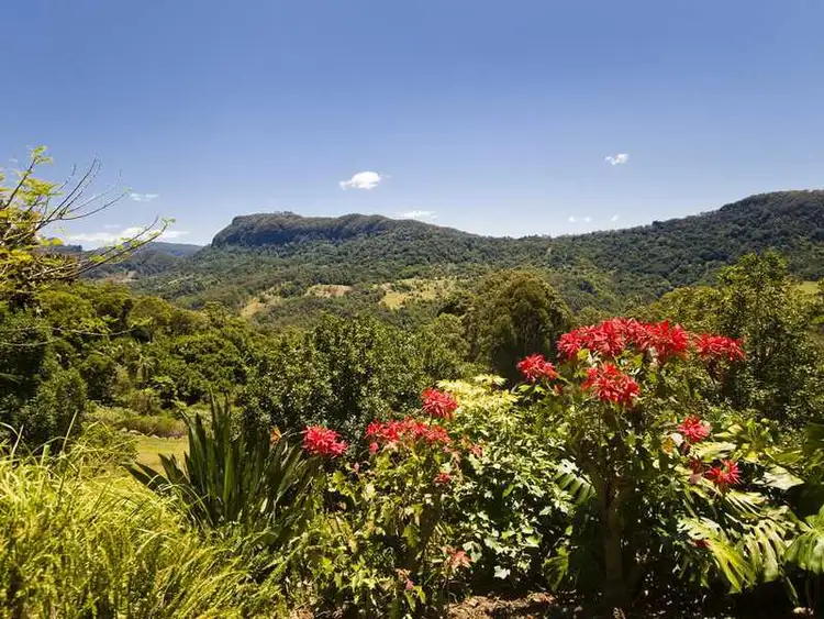 Seventh view of Homely rural property listing, 560 Tomewin Mountain Road, Currumbin Valley QLD 4223