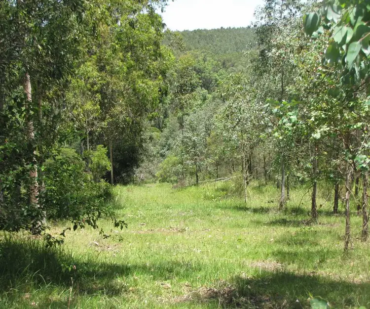 Main view of Homely rural property listing, - Ralston Clarence Way, Old Bonalbo NSW 2469